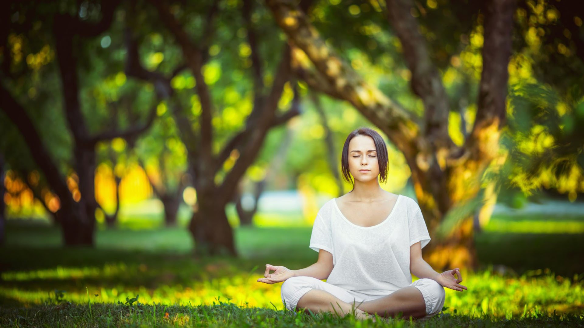 欧洲杯战术大革新：变化多端，令人期待！，欧洲杯战状